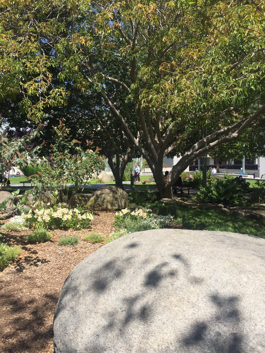 dyobs's tweet image. Great #api talks #apidaysSF 
And venue