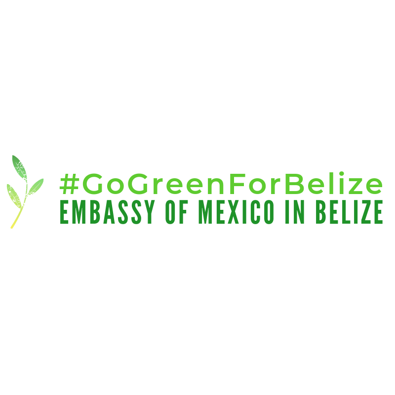 quesnelc's tweet photo. En el Día del #DefensorDelMedioAmbiente reconozco y adragezco el esfuerzo de todo el equipo de @EmbaMexBee por cuidar el medio ambiente a través de la iniciativa #EmbajadaVerde https://t.co/mUAlce9q0M