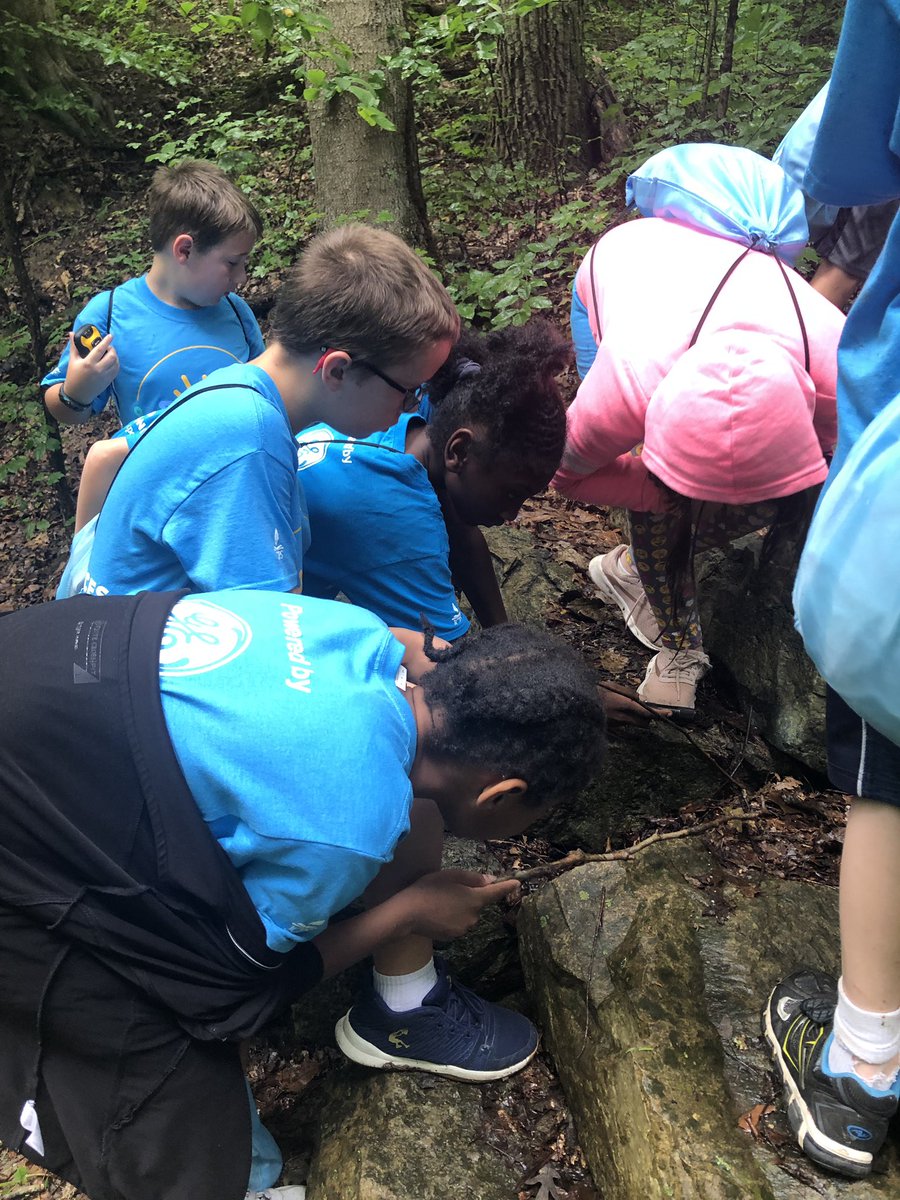 Amy_BakerLMS's tweet image. Not only are the #BackPackLeague geocachers hunting for caches, they are also working on nature scavenger hunts. Here are a few of their pictures which they will use to create informational Google maps.  @JCPSKY @jcpsforward #nosummerslide #therainheldoff @JMForest #natureexperts