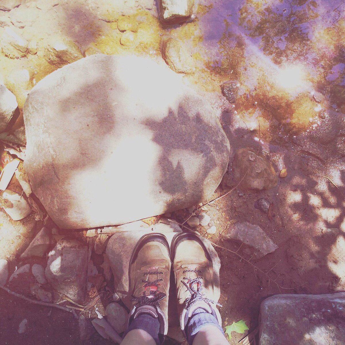 carrieciula's tweet photo. "i think 99 times and find nothing. 
i stop thinking, swim in silence, and the truth comes to me.”
—albert einstein
::
#einstein #clarity #truth #wildwisdom #healinghikes #traillife https://t.co/wbznIsMFqP