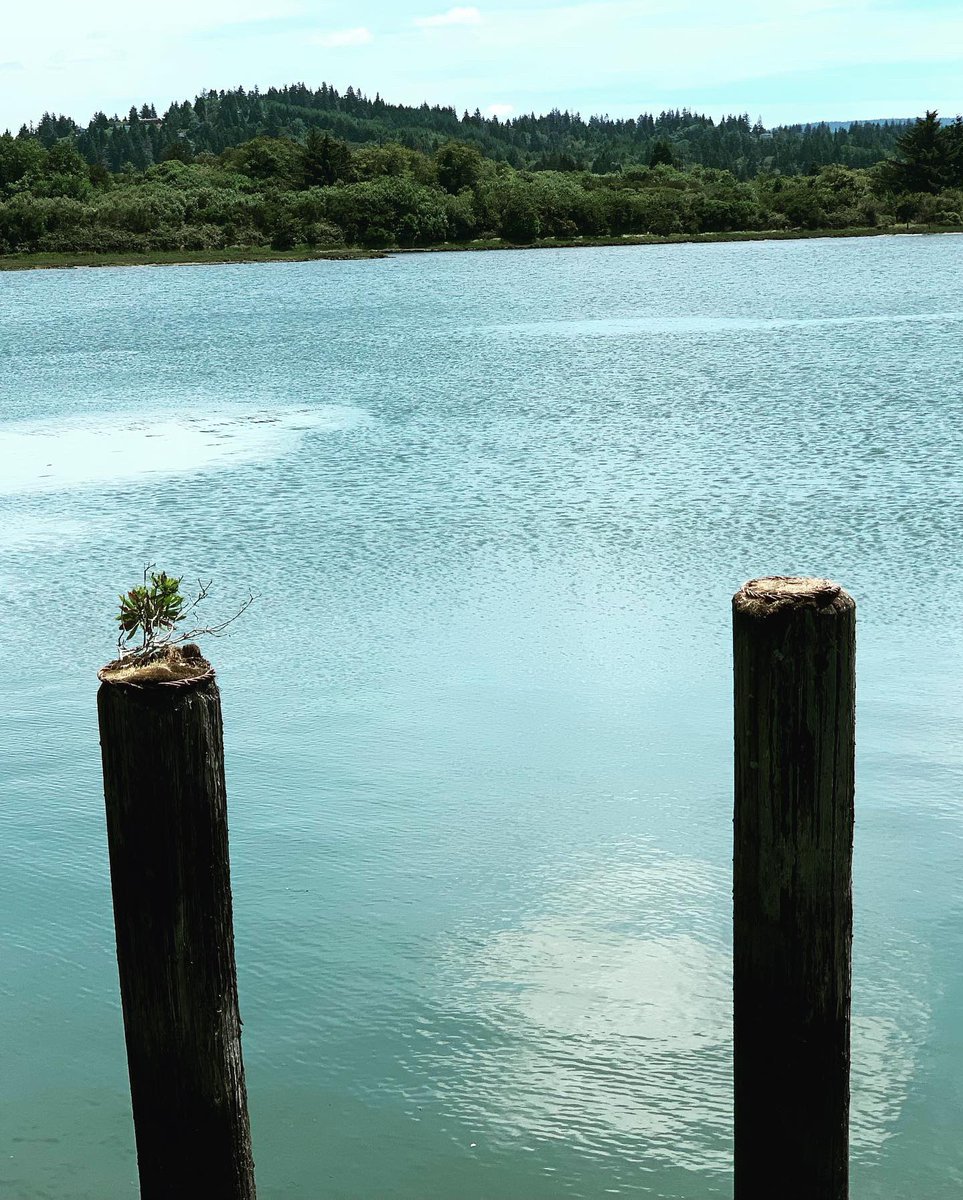 Tennessee Stiffs (@tnstiffs) on Twitter photo We’ve had such a beautiful last few days recharging our batteries in the hot springs, mountain ranges and waterfalls of Oregon. We’re in Coos Bay in the coast tonight at <a href="/7DevilsBrewery/">7 Devils Brewery</a> Hit the link to tune in 7:30 - 9:30 👉 mixlr.com/tennessee-stif… #westwardandwayward2019 We’ve had such a beautiful last few days recharging our batteries in the hot springs, mountain ranges and waterfalls of Oregon. We’re in Coos Bay in the coast tonight at <a href="/7DevilsBrewery/">7 Devils Brewery</a> Hit the link to tune in 7:30 - 9:30 👉 mixlr.com/tennessee-stif… #westwardandwayward2019