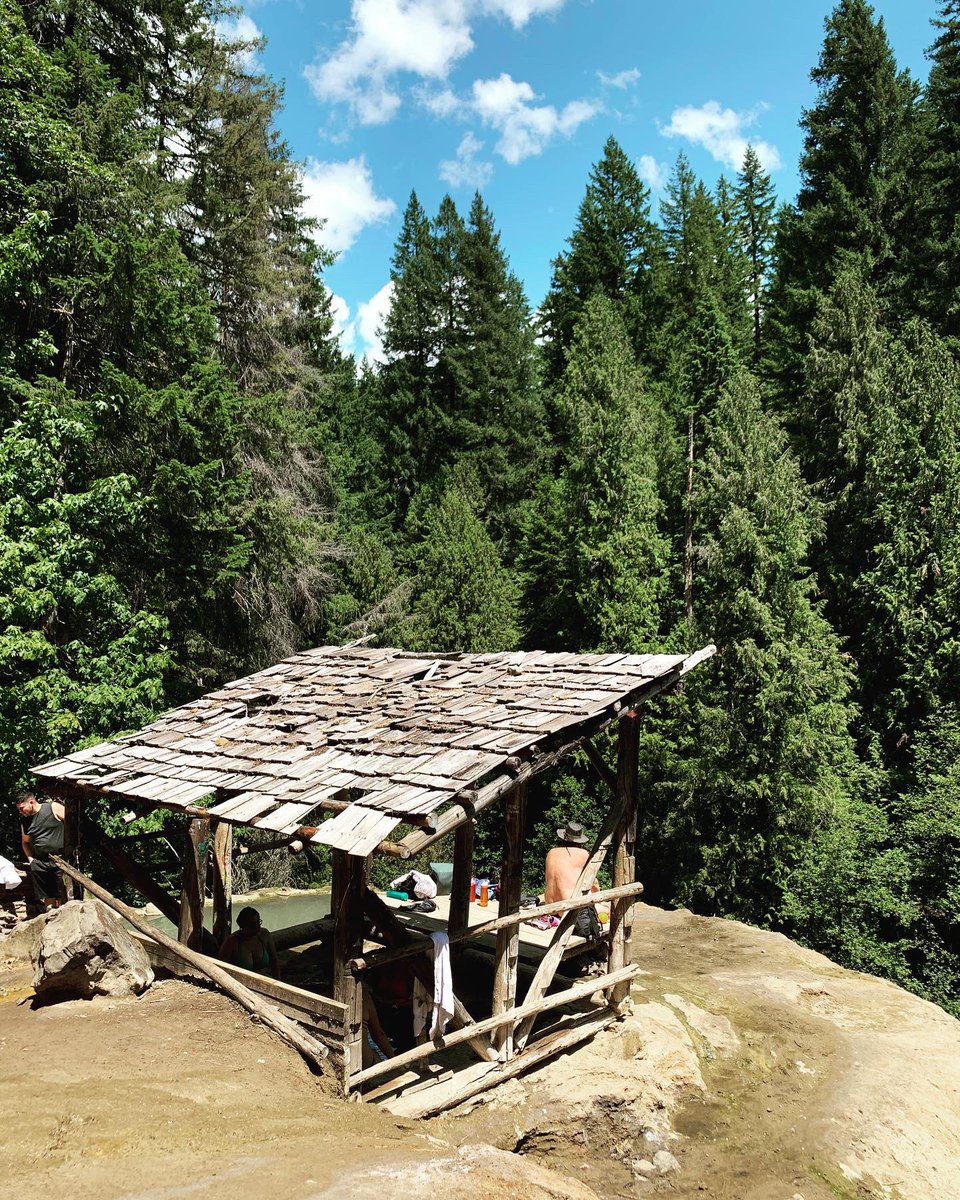 Tennessee Stiffs tweet media