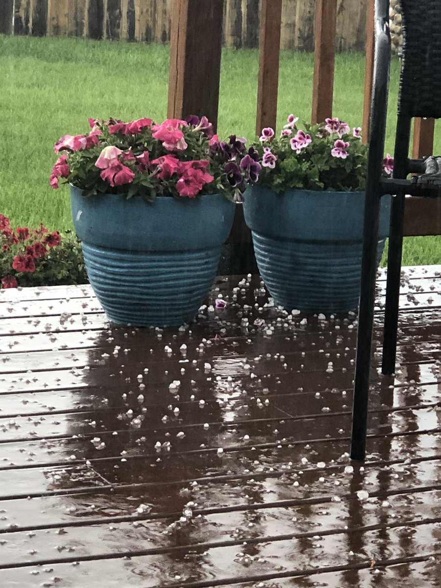 Manda199's tweet image. Hailing in the NE of the city just off manning 😧@joshclassenCTV