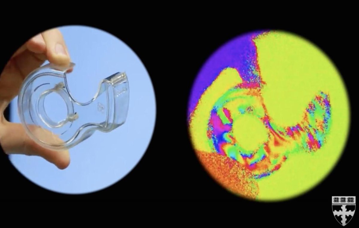 olhardigital's tweet image. Harvard cria câmera que mostra o mundo pelos olhos de um camarão 🦐📸 - buff.ly/2NYFXUZ #Harvard #polarizacao