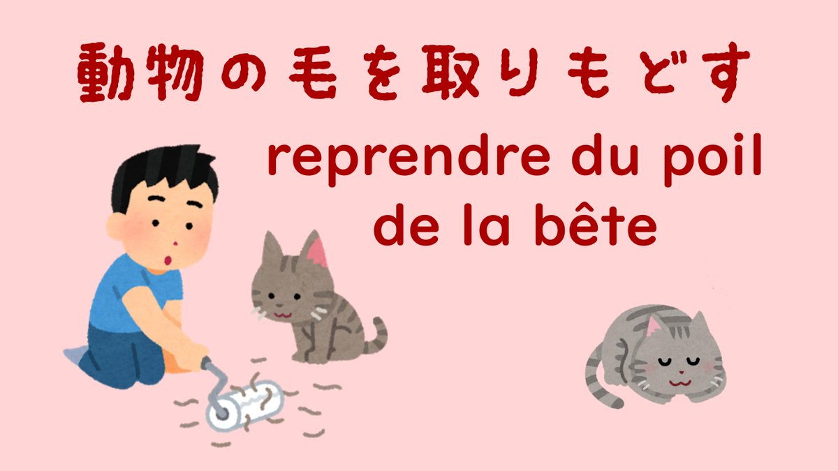 Uzivatel La France Au Japon Na Twitteru Parlez Vous Francais Le Week End Approche C Est Le Moment Opportun Pour Reprendre Du Poil De La Bete Et Ne Plus Se Mettre Martel