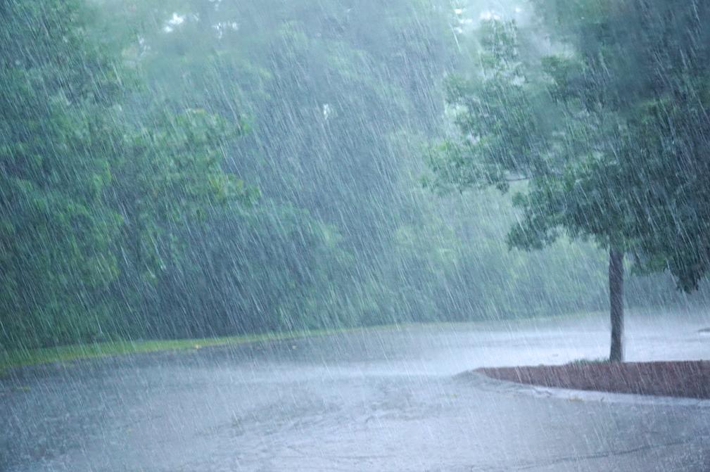 We're expecting heavy downpours across our service territory. Remember to slow down on your drive home and avoid driving or walking through flood waters. For more safety tips, check out: ow.ly/T6UR50v3aSW.  #Safety #DriveSafe