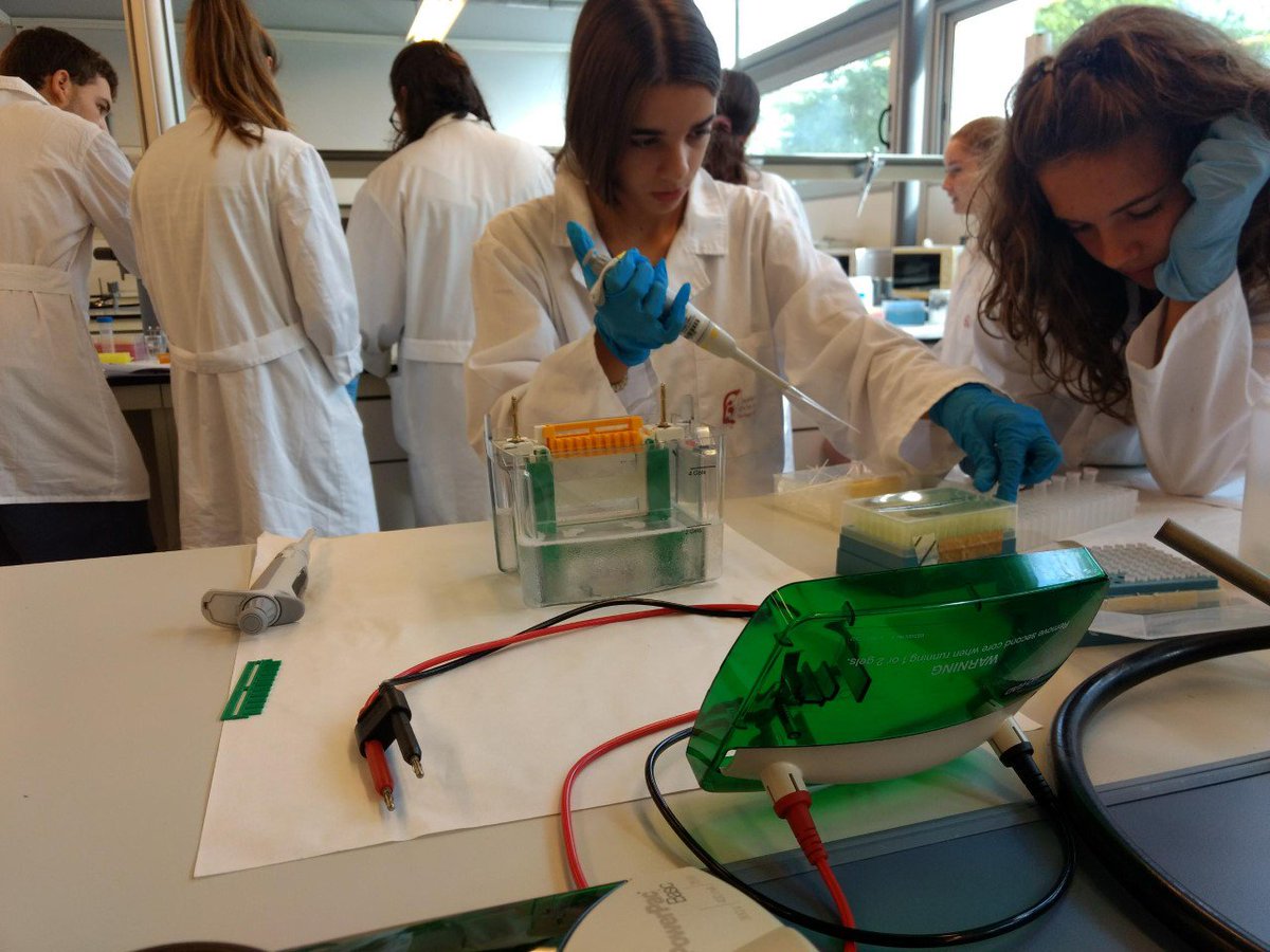 bioquimicaURV's tweet photo. No només van veure si els detergents tenien amilases amb les plaques de Petri sinó que van fer una #electroforesi de proteïnes per veure si diversos detergents de roba 👕👖 contenien o no enzims proteases. #EstiURV "Les molècules més vives que mai🧬" https://t.co/3pY2zuAb5X