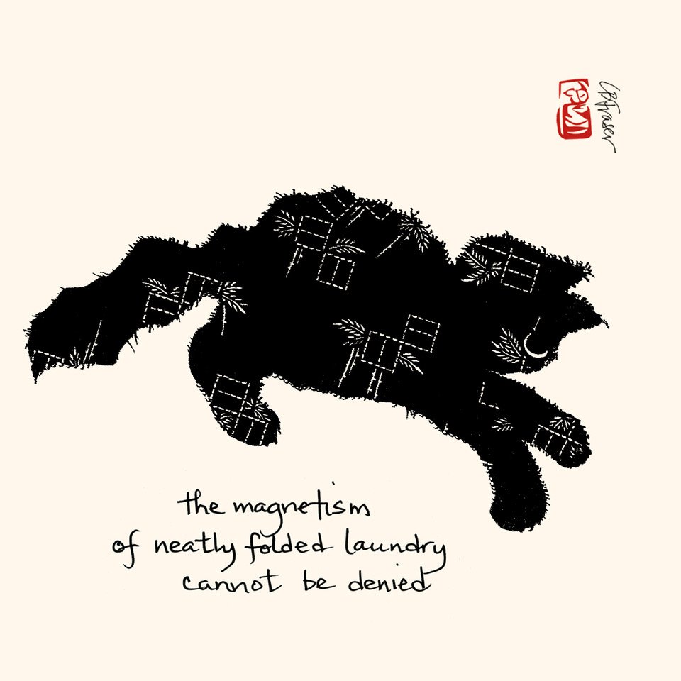 Haiku_Cats's tweet photo. #Cats #Drawn to #Laundry #Haiku #Cat #Collage #CatADay #CatArt #Cats #WarmLaundry #Boss #LaborOfLove #Kitty #Wednesday https://t.co/0g4uOAbPQy