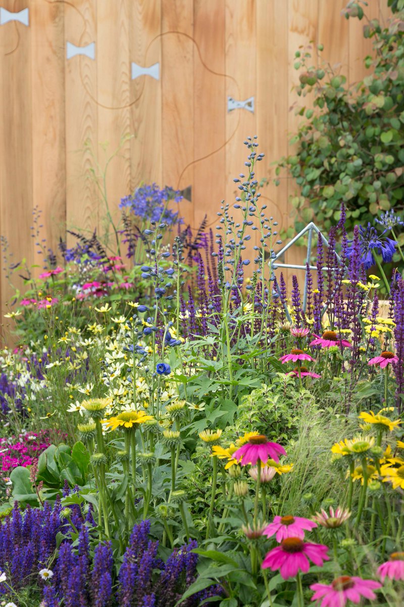 TheCheshGarden's tweet photo. Lots of visitors at #LetsGoFlyAKite #backtoback garden at #RHSTatton today. If you love our garden and would like to help @childrentoday increase awareness of their great work for children with disabilities - vote in the People's Choice Award by visiting https://t.co/OC5pxowEB9 https://t.co/85PHJ3kC8c