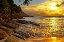 scbholidays's tweet photo. Have you ever been to Mauritius? It really is exquisite, a lush, tropical paradise. Have a look through some or our private villa's for your trip - https://t.co/y6WYL3QzPH
#mauritius #underwaterfall #tropical #island #beach #lush #beautiful #vacations #love #sea #holiday https://t.co/8ggdCNlscs