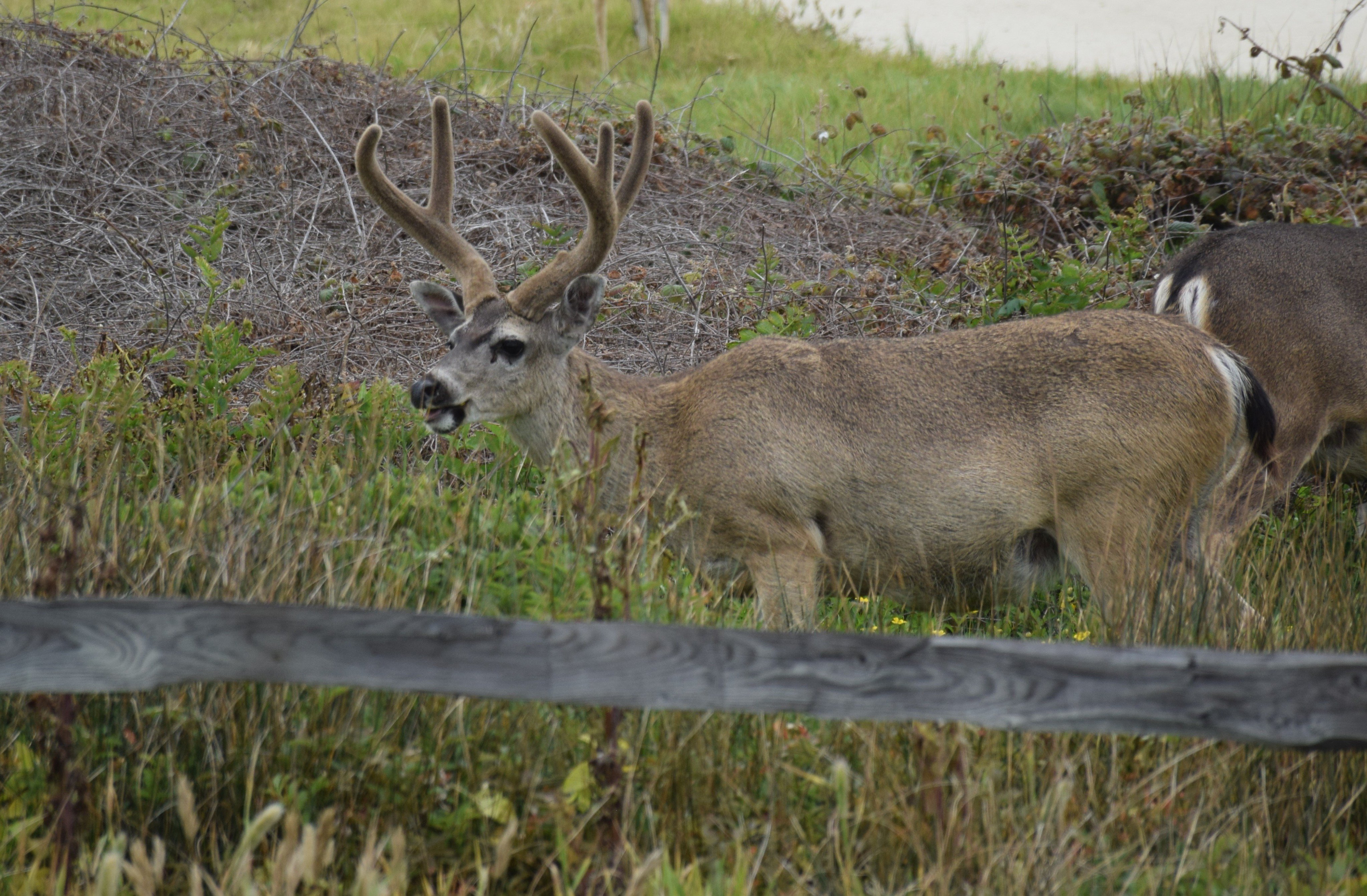 John K. Brooks (JohnkbrooksK) / Twitter