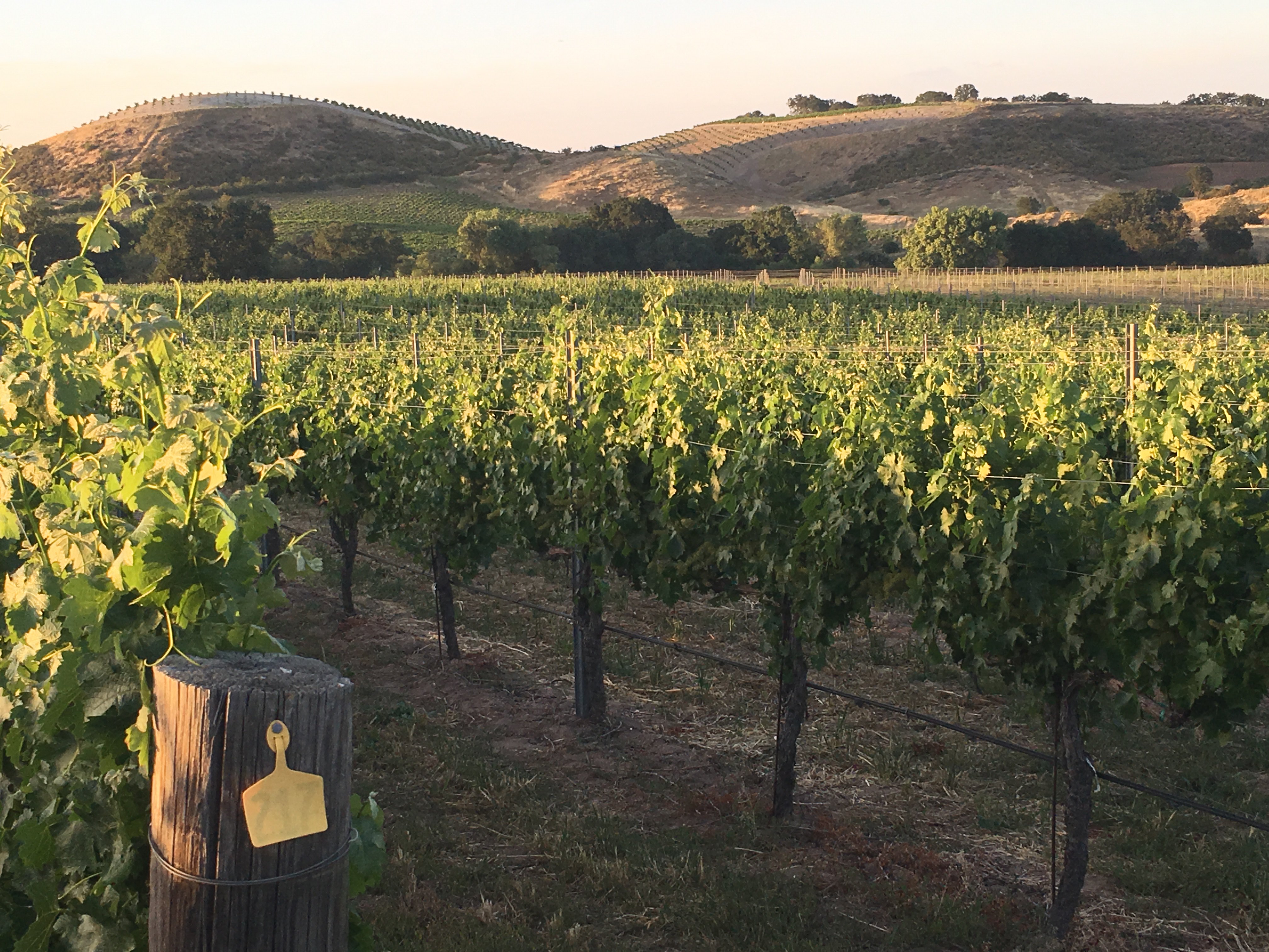 John K. Brooks (JohnkbrooksK) / Twitter