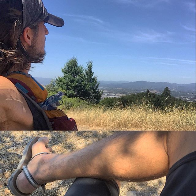 earth_runners_'s tweet photo. Local Perch.💭
.
.
.
#nature #explore #rewildbefree https://t.co/rlO82X14hF https://t.co/e7MDeUehwR