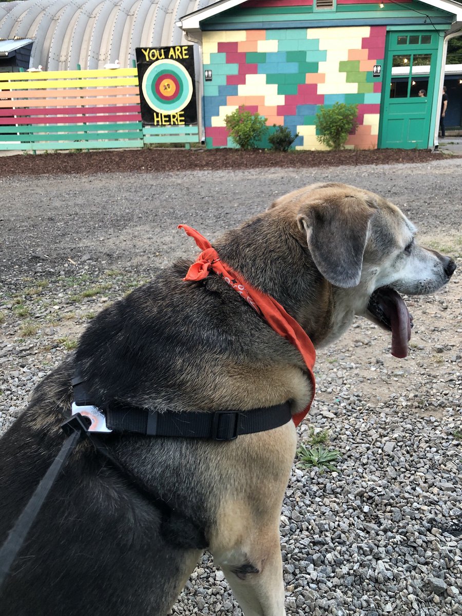 Lance Ball tweet media