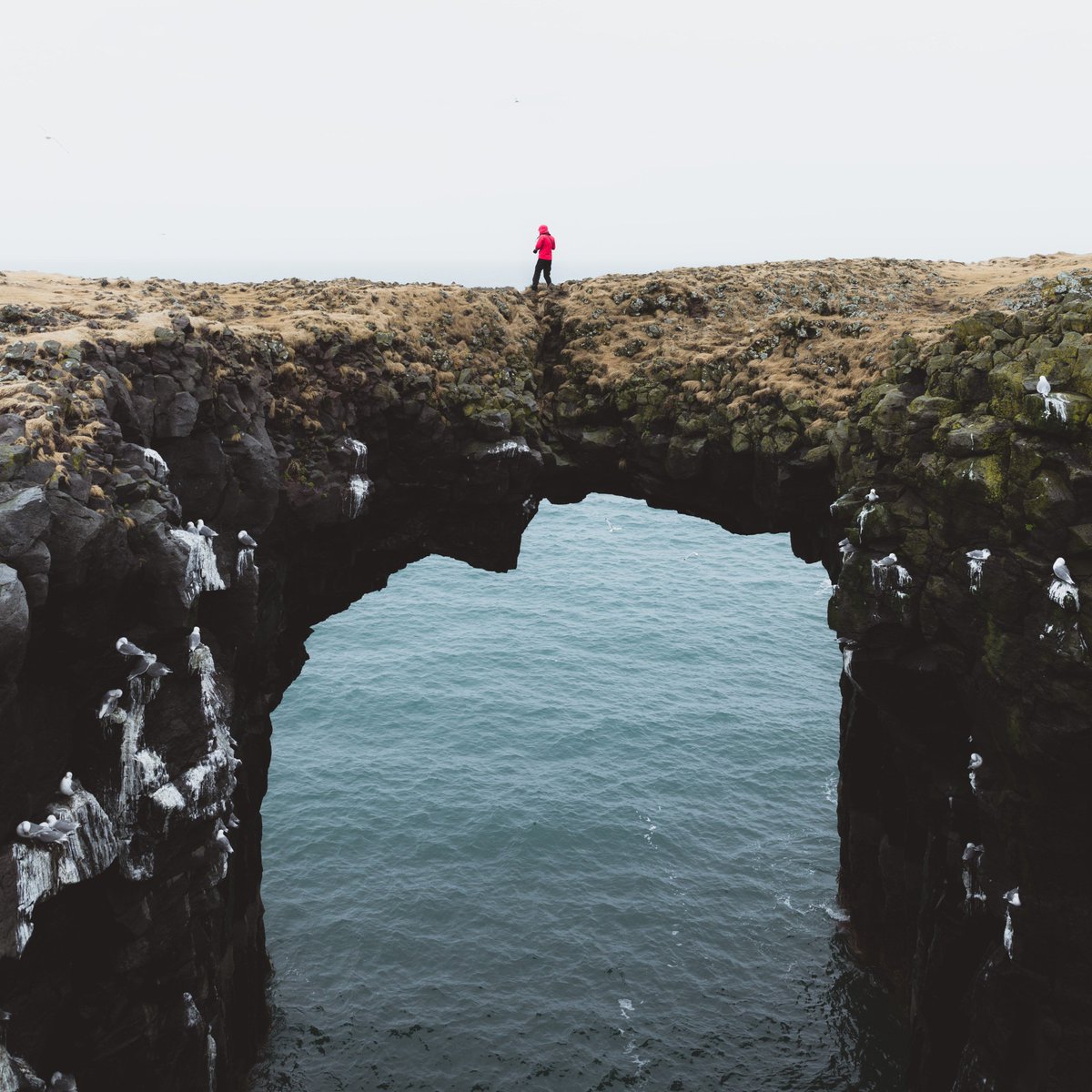 “Not only does a bridge merge the distance to connect points A and B; a bridge holds opposite sides together in tension so a connection can be made” - paraphrase from Adam Taylor, Executive Director of <a href="/Sojourners/">Sojourners</a> #bridge #connection #unity #tension
