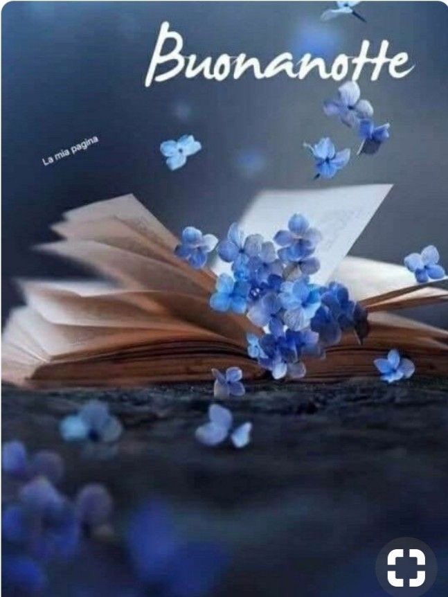 Rita Falchi Buona Notte Sogni Belli A Te E Carmen