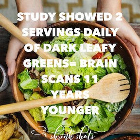 TashaJacksTweet's tweet photo. Want your brain to get carded at the bar? 🧐Before you put all that anti-aging moisturizer on your hippocampus— try eating your greens! “Beleaf” it or not. #wednesdaywisdom #shrinkshots https://t.co/10n9v14iyF