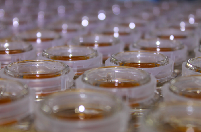 BriteLabs's tweet photo. Spending some time  with this beautiful Obama Kush Jelly Wax. #BRITEdabs #JellyWax #Concentrates #Cannabis #OaklandCannabis #CannabisCommunity #Golden #AlittleDabWillDoY https://t.co/dVFjMFkBGl