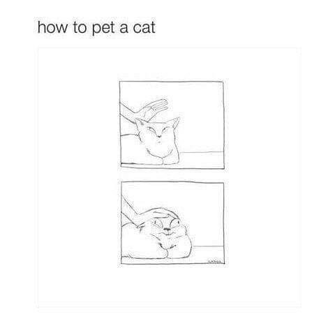 rosella0214's tweet image. Good Morning Everyone! How&apos;s your day? Hope youre doing good! 

Anyone who misses Queen here? 
Tell me your favorite scenes in the book!
#PetSystem
#Wattpad
#Cats

Im waiting everyone!💜
∠( ᐛ 」∠)＿