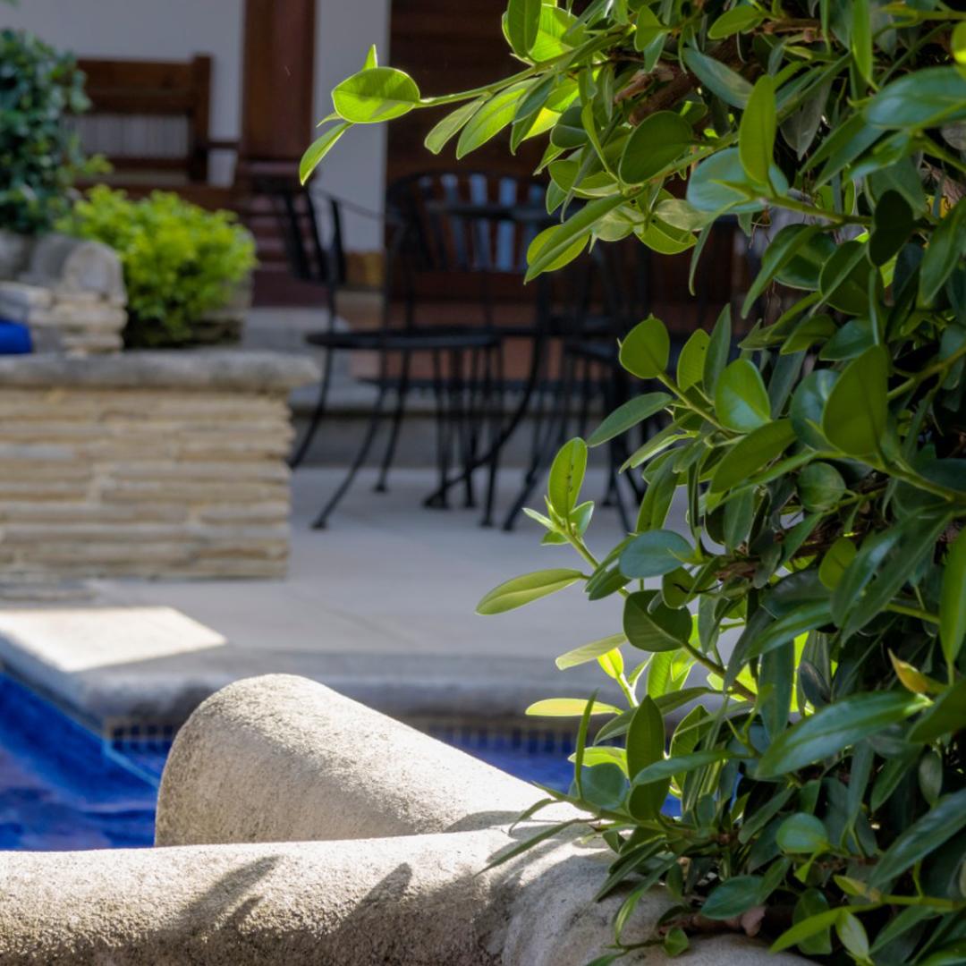 HotelPlazaColon's tweet photo. En Hotel Plaza Colón nos sentimos profundamente orgullosos de incorporar la responsabilidad social y ambiental en nuestro modelo de negocio. Pues tenemos un gran compromiso con nuestra comunidad y el medio ambiente🌱🌳
#ExperienceHPC #Sustainability #Granada #Nicaragua https://t.co/oaTiaRHXH6