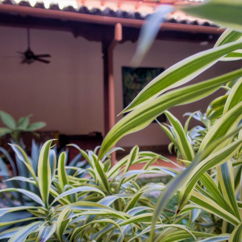 HotelPlazaColon's tweet photo. En Hotel Plaza Colón nos sentimos profundamente orgullosos de incorporar la responsabilidad social y ambiental en nuestro modelo de negocio. Pues tenemos un gran compromiso con nuestra comunidad y el medio ambiente🌱🌳
#ExperienceHPC #Sustainability #Granada #Nicaragua https://t.co/oaTiaRHXH6
