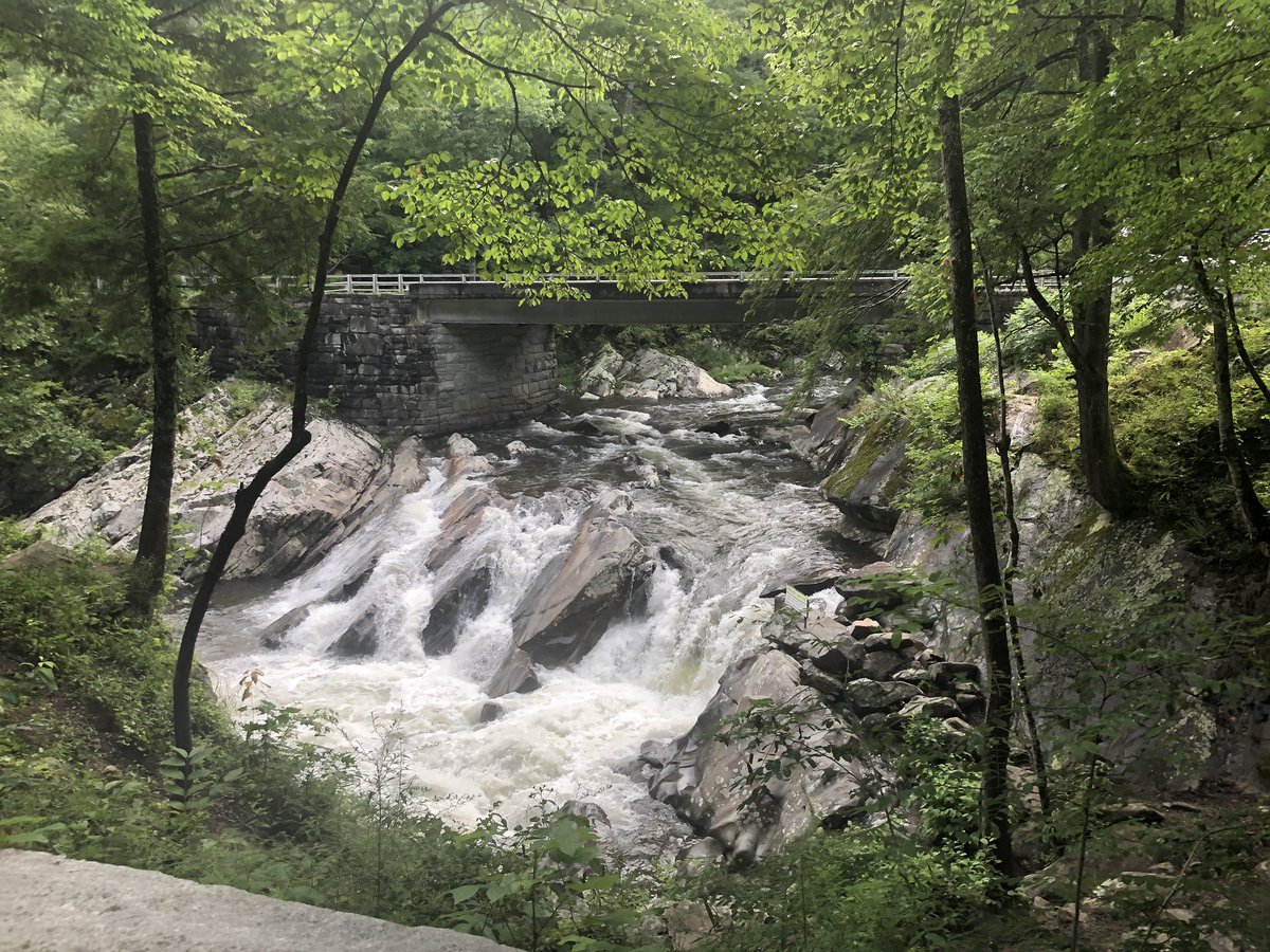AlyssaLynnMusic's tweet photo. I love the smoky mountains!!! They’re so pretty. Have you ever been to the smokies?? ⛰ #smokymountains #familyvacation #smiLynn https://t.co/fL86ir6ati