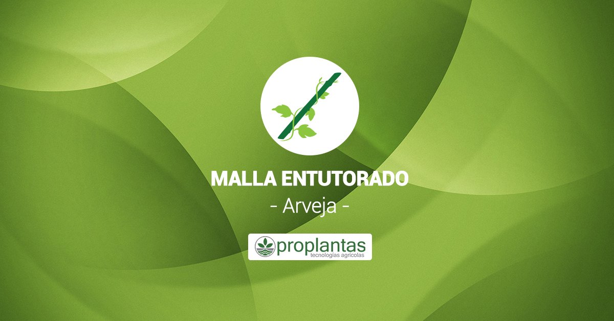 Proplantas tweet media
