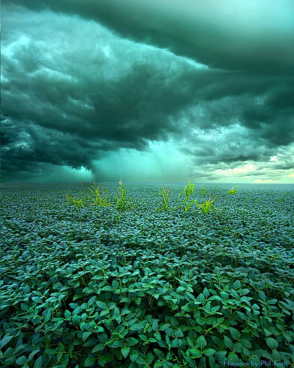 landography's tweet photo. Amazing #Wheather and Landscape Photography by https://t.co/94tTcnd9S4 Phil Koch #naturephotography #landscapephotography https://t.co/JokcNSEtGt
