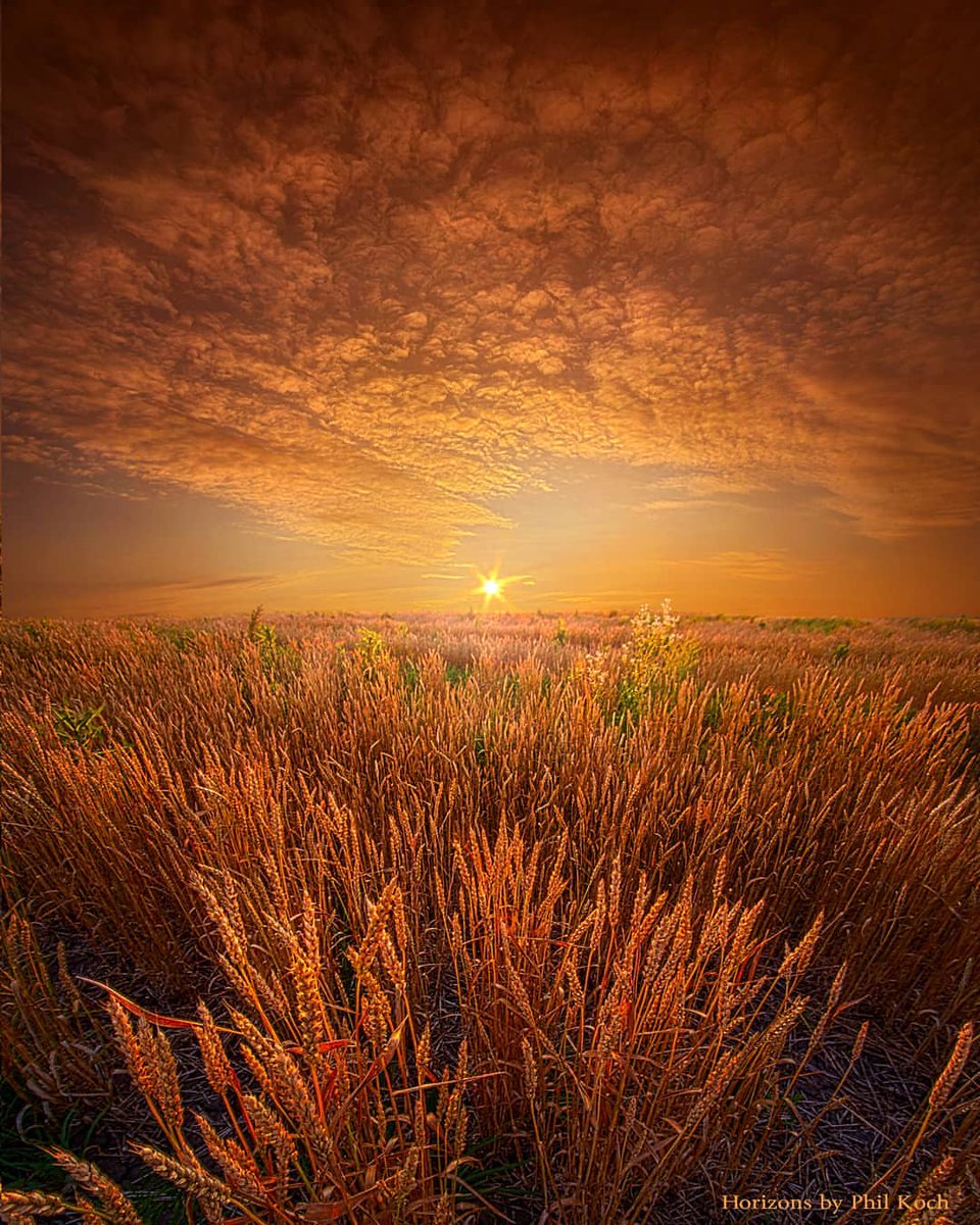 landography's tweet photo. Amazing #Wheather and Landscape Photography by https://t.co/94tTcnd9S4 Phil Koch #naturephotography #landscapephotography https://t.co/JokcNSEtGt