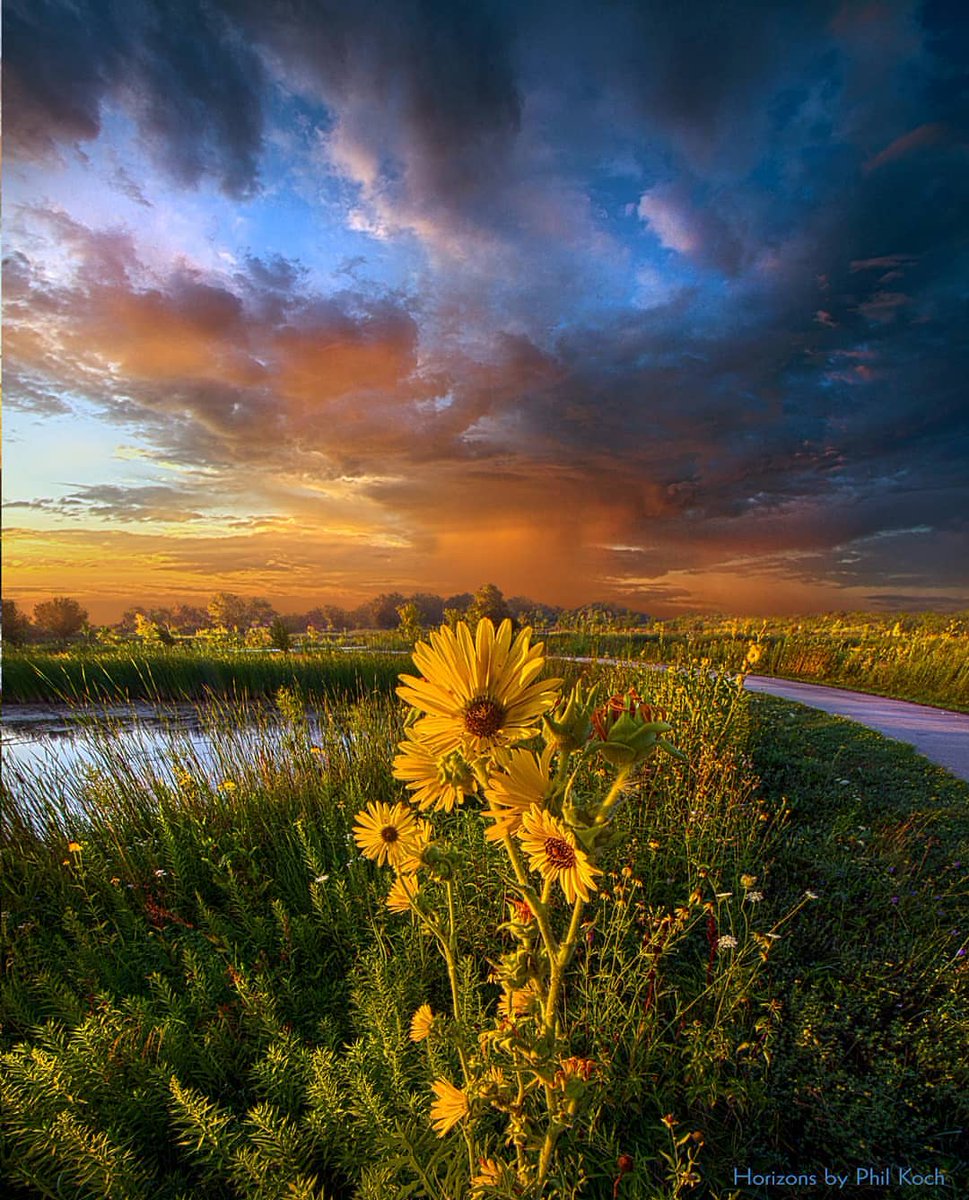 landography's tweet photo. Amazing #Wheather and Landscape Photography by https://t.co/94tTcnd9S4 Phil Koch #naturephotography #landscapephotography https://t.co/JokcNSEtGt
