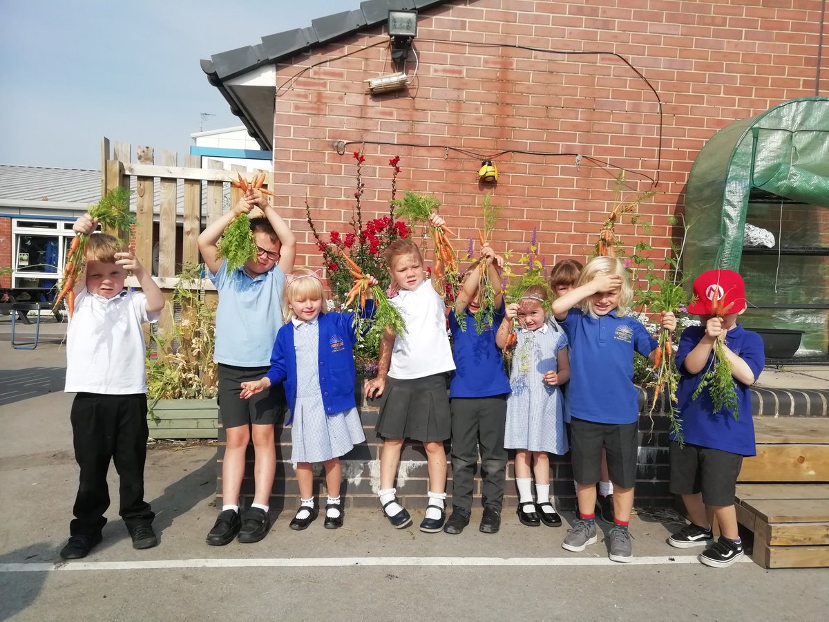 EYadVENTURErs's tweet photo. It's carrot picking time! @HeronClass @F2Norbridge #growyourown #eyfs #gardeninginschool https://t.co/k6w2A6axw9