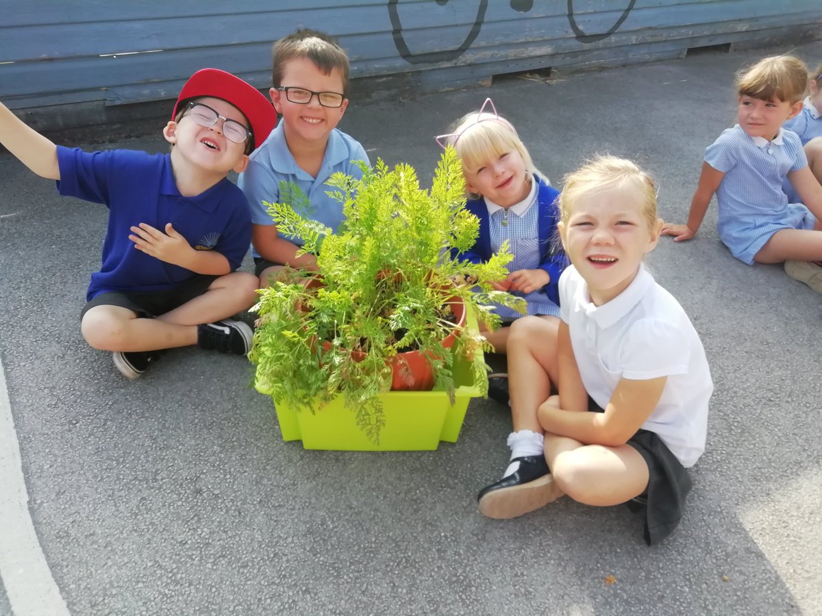 EYadVENTURErs's tweet photo. It's carrot picking time! @HeronClass @F2Norbridge #growyourown #eyfs #gardeninginschool https://t.co/k6w2A6axw9