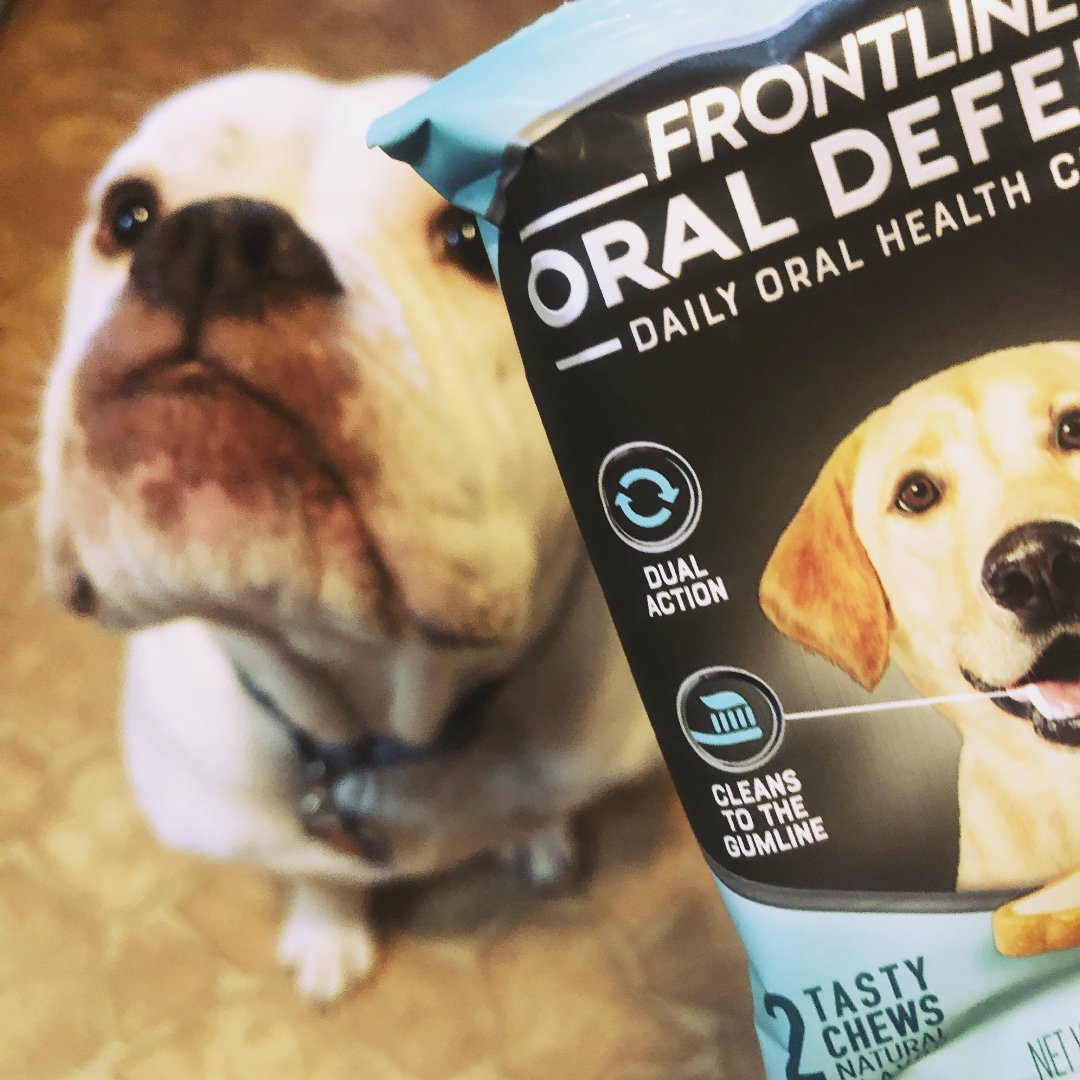 Britt0177's tweet photo. #FRONTLINEOralDefense #complimentary  @Walmart  @Influenster https://t.co/srGIRBMLOF