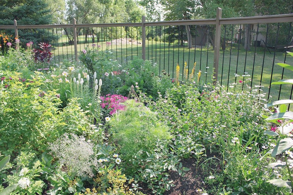 yashikibuta's tweet photo. Garden Beauty outside the city — Canada’s LOCAL Gardener magazine https://t.co/7M9tvIiW7y https://t.co/wgBjTu26k0