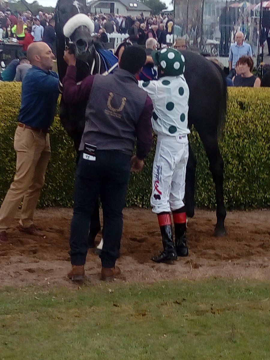 JoeSeward1's tweet photo. The penultimate race  @KillarneyRaces
goes to @MHalfordRacing @ConorHoban with the aptly named #DefiningBattle proving the warrior in a driving finish to deny @wjlee24786 on #EliteTrooperGrey
The winner likes Kerry won his maiden @ListowelRaces
#Killarneyraces
#Killarney https://t.co/21lynxUYY8