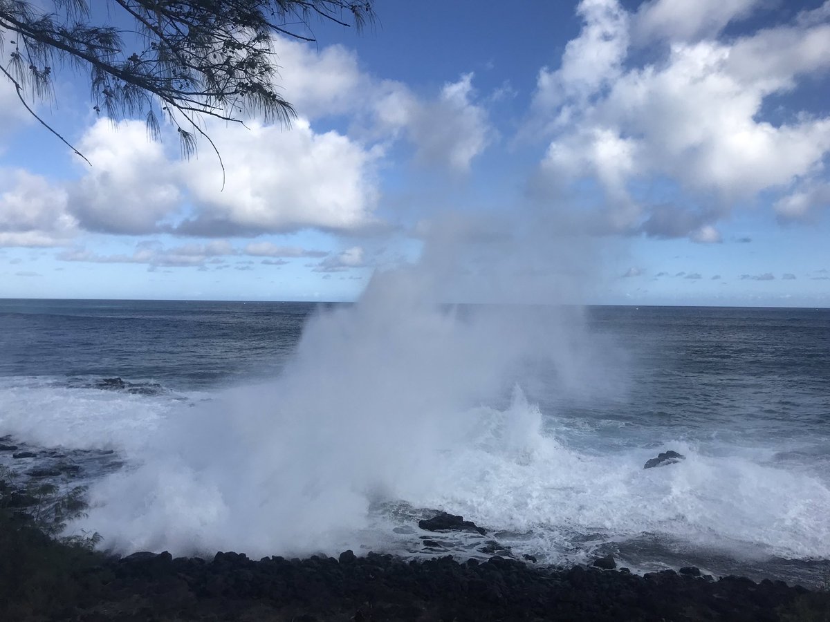maddancer_14's tweet photo. Hawaii is a dream 🌺 https://t.co/6COf3k2NaT