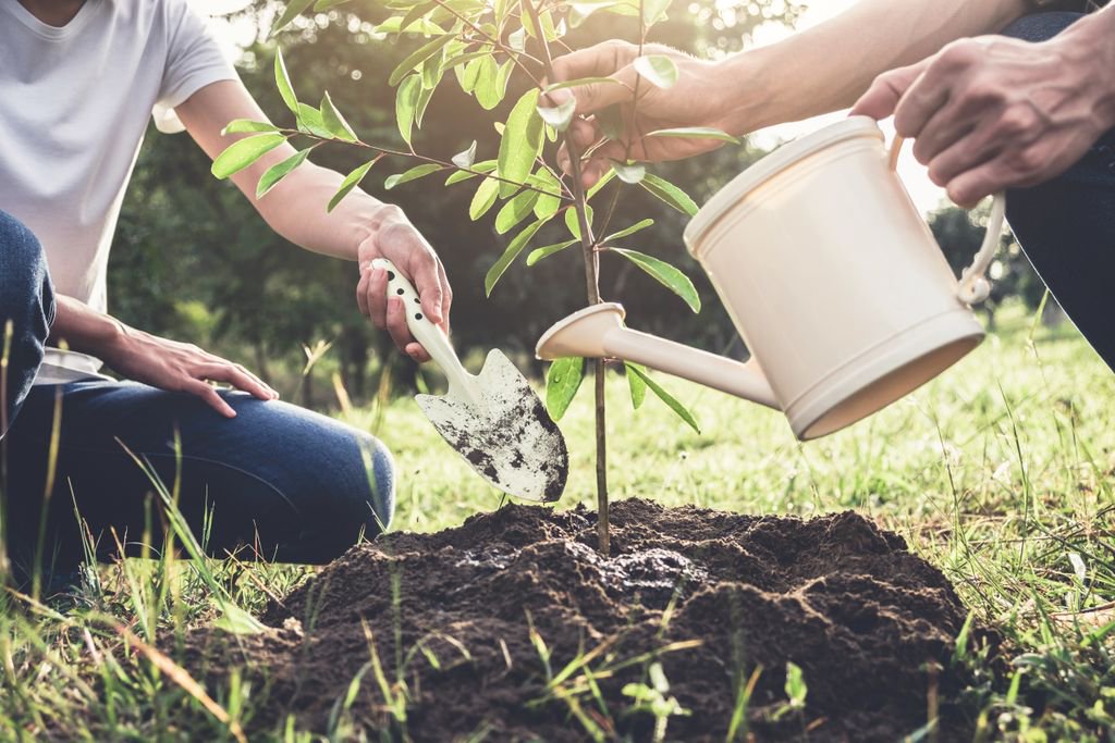 billie_app's tweet photo. Congrats to @BGIS_na for their achievement of planting 100 trees with the #GoSpaces app and @TreeCanada! 👏🌳 #Reforestation #Trees #CorporateSocialResponsibility Learn how your business can do the same: https://t.co/xy0E5Jr5NB https://t.co/Av3J4K5Qq7