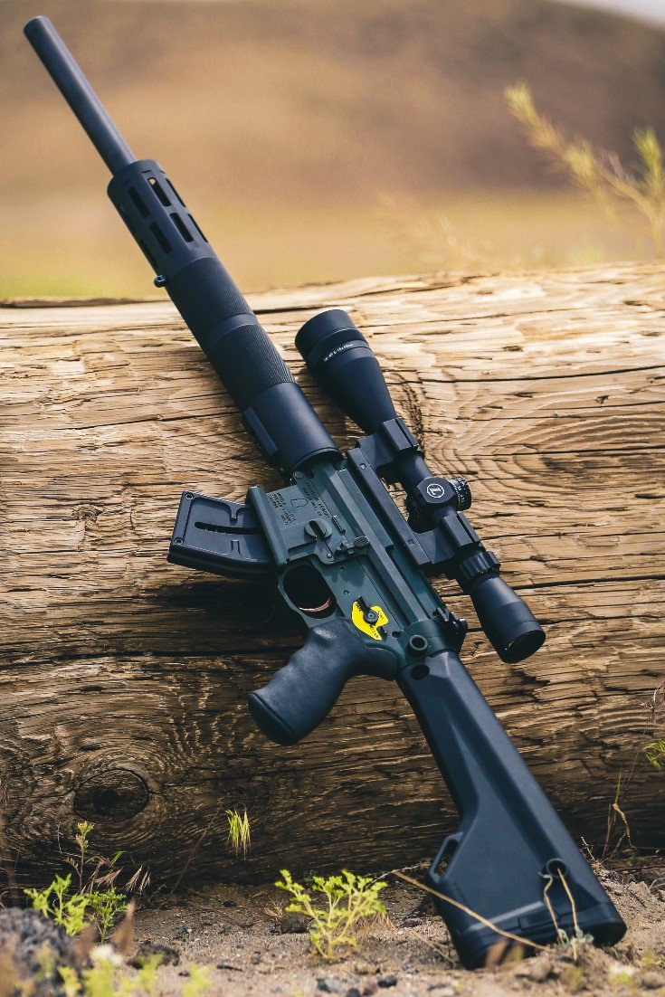 FranklinArmory's tweet image. The F17 is the best way to keep your land in control from the varmints!

#FranklinArmory #F17 #VerminControl