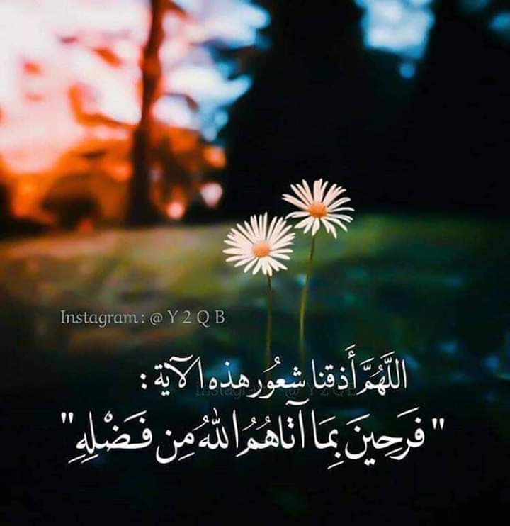 ⠀

⠀                                            #الابطال_وفولورز_سهرانين