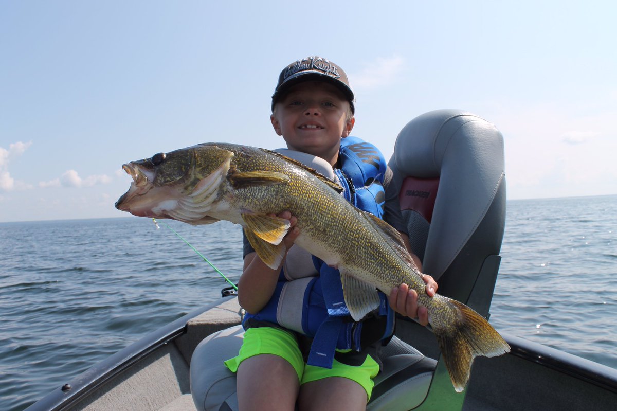 SpruceGrover's tweet photo. The kid caught a hawg yesterday. Actually, he caught a few hawgs yesterday.  Lots of fun catching and releasing the big ones! Slot size lakes work. #Albertawalleye @ConserveAlberta @ABOutdoorsmen https://t.co/AUF2AXlaCy