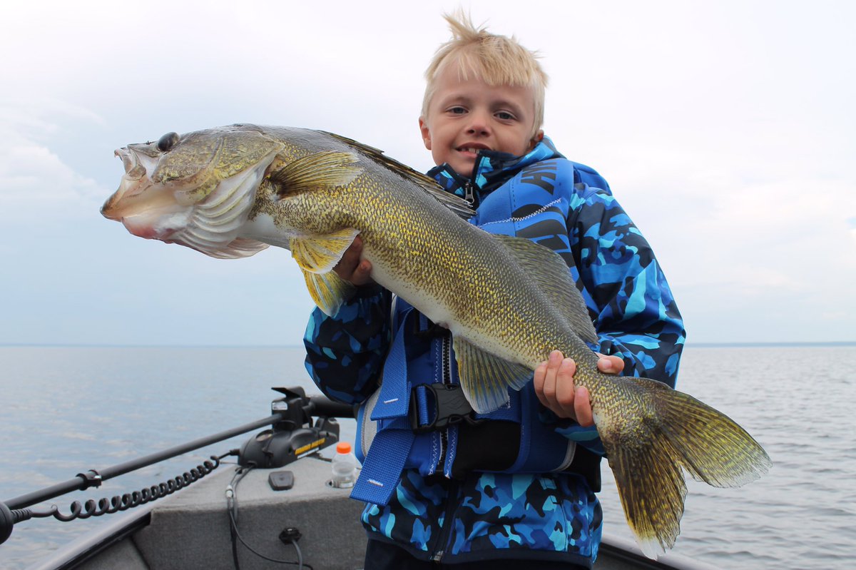 SpruceGrover's tweet photo. The kid caught a hawg yesterday. Actually, he caught a few hawgs yesterday.  Lots of fun catching and releasing the big ones! Slot size lakes work. #Albertawalleye @ConserveAlberta @ABOutdoorsmen https://t.co/AUF2AXlaCy