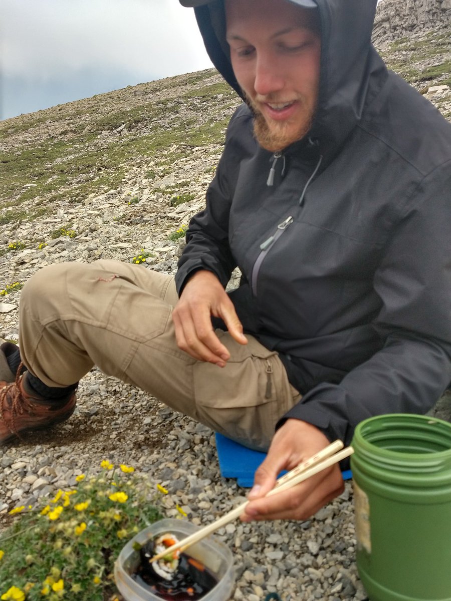 I would never have thought that, one day, I'd bring sushis as lunch on the mountain. I guess there's a first for everything! 
Here is Yanny enjoying our veggie sushis moments before it started to rain 😂
#fieldwork #RamMountain #sushi