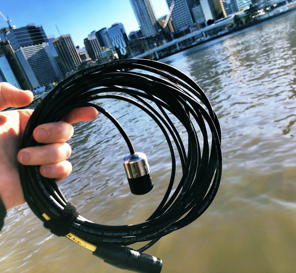 LeahBarclay's tweet photo. Listening to snapping shrimp, grunting cat fish and passing boats on the #RiverListening live stream from #BrisbaneRiver for #WLD2019 this morning w/ @MauricioIregui @Griffith_Uni https://t.co/70uUKF7RIV