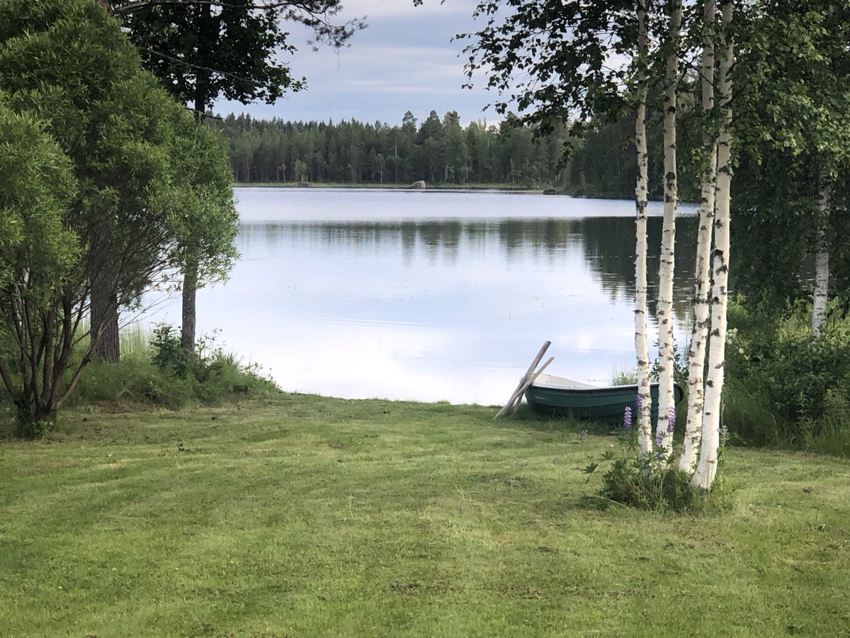 YlonenSatu's tweet photo. #rentafinn #EteläSavo #cleannature #sauna #silence #sun #swimming #peace #WELCOMETOFINLAND! https://t.co/pKbefNWTw3