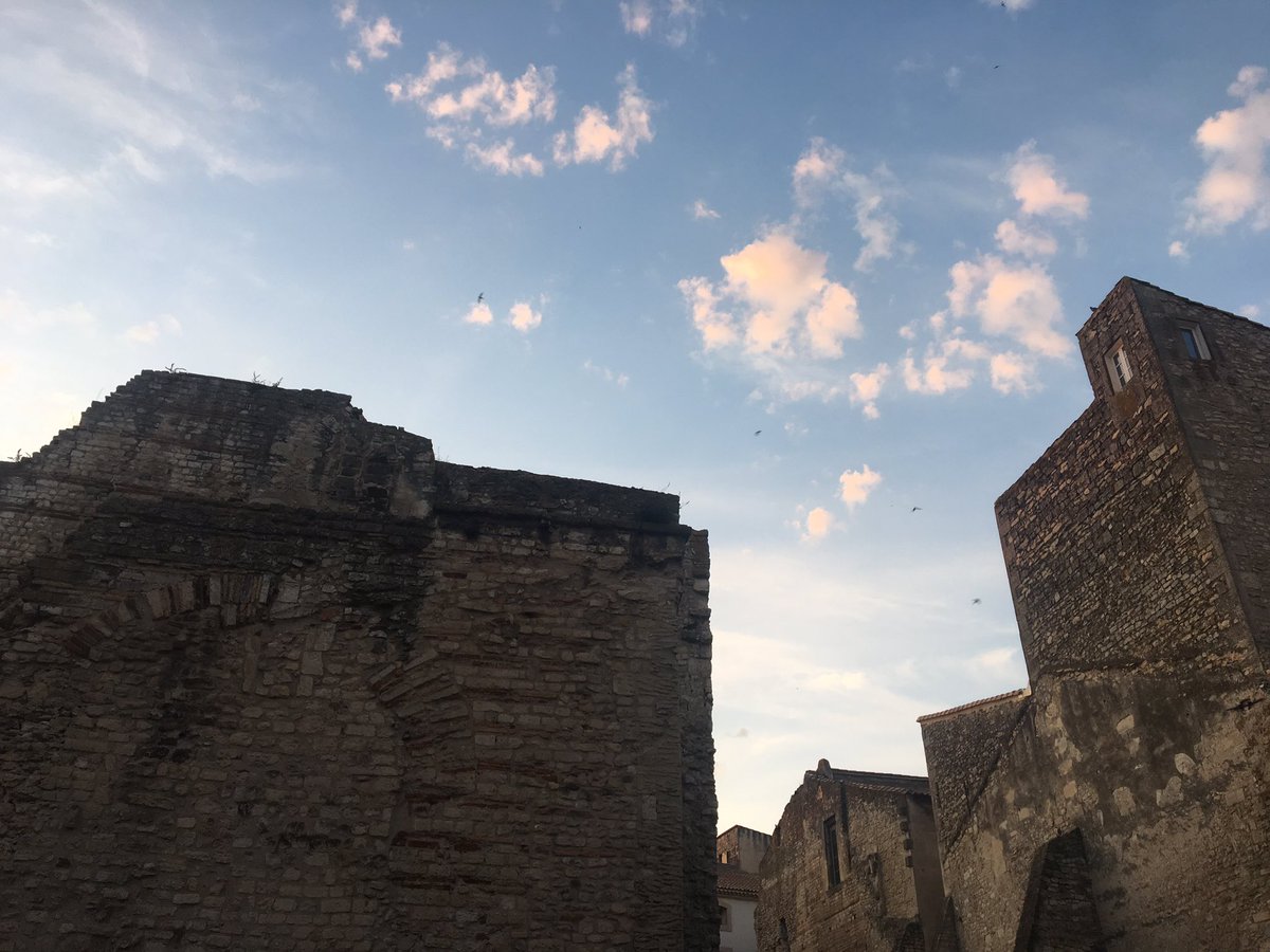 AudreyPulvar's tweet image. Je pose ça là... Bonne journée à toutes et tous 😉🌺 #Arles #Rhone