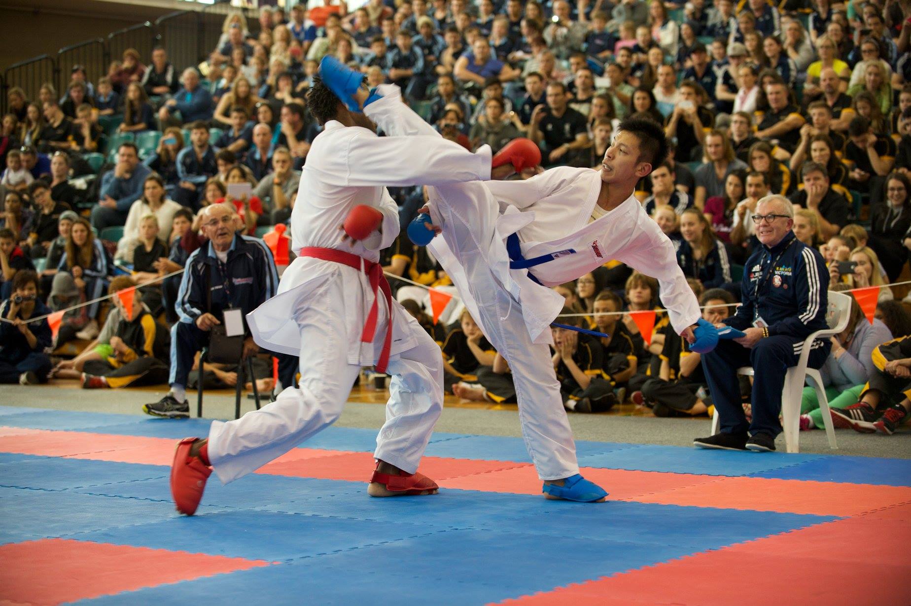 Karate WKF удары