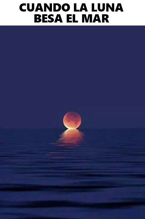 TuArcangel43's tweet photo. Así quiero que me #beses @angeldeamor2016 #Proximamente tu seras la #Luna y yo el #mar buenas noches mi #AmorAPrimeraVista https://t.co/riKkGpNk3k