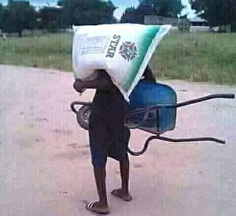 Teasemaker's tweet image. Life is sometimes like that, we intend to buy beautiful powerful successful ideas plans and programs from our instinct and destiny ahead than this happen we take everything in our hand while we can push it with something that is available to eased up the weight of our shoulders.