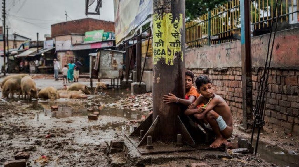 TeamPakistanOf1's tweet photo. @majorgauravarya @ImranKhanPTI Go tell Modi to get your overpopulated nation 800 million toilets right of away before the country stinks the entire world with the poop smell. Disgusting nation. #IndiaDemandsMoreToilets https://t.co/YH5dVXKOJm