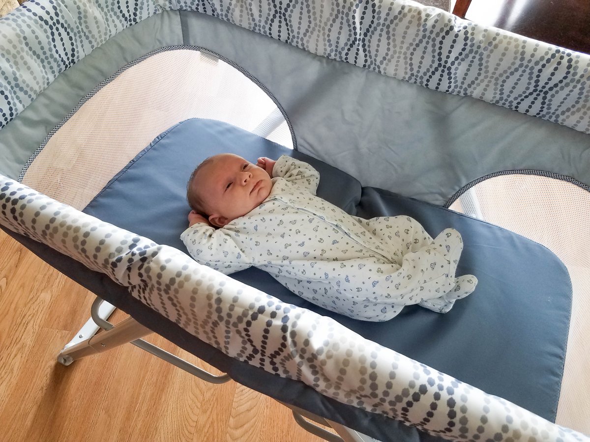 ingenuity foldaway rocking bassinet target